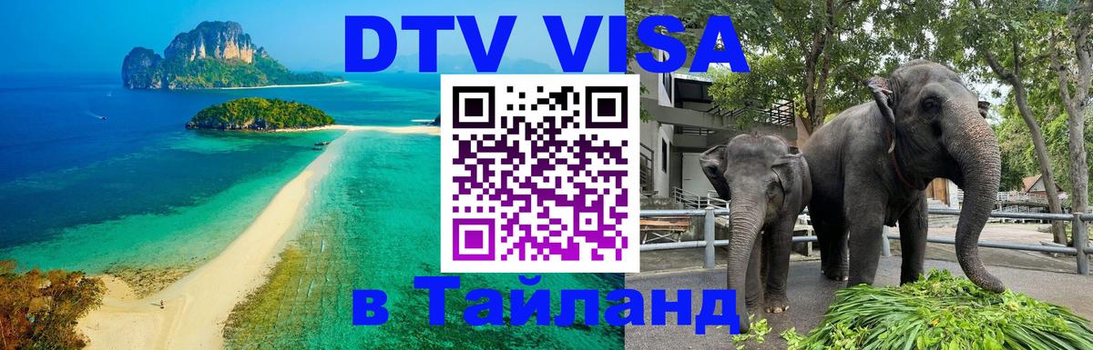 Оформление DTV визы под ключ: стоимость и тарифы, только загранпаспорт - Рубцовск  21.11.2025 